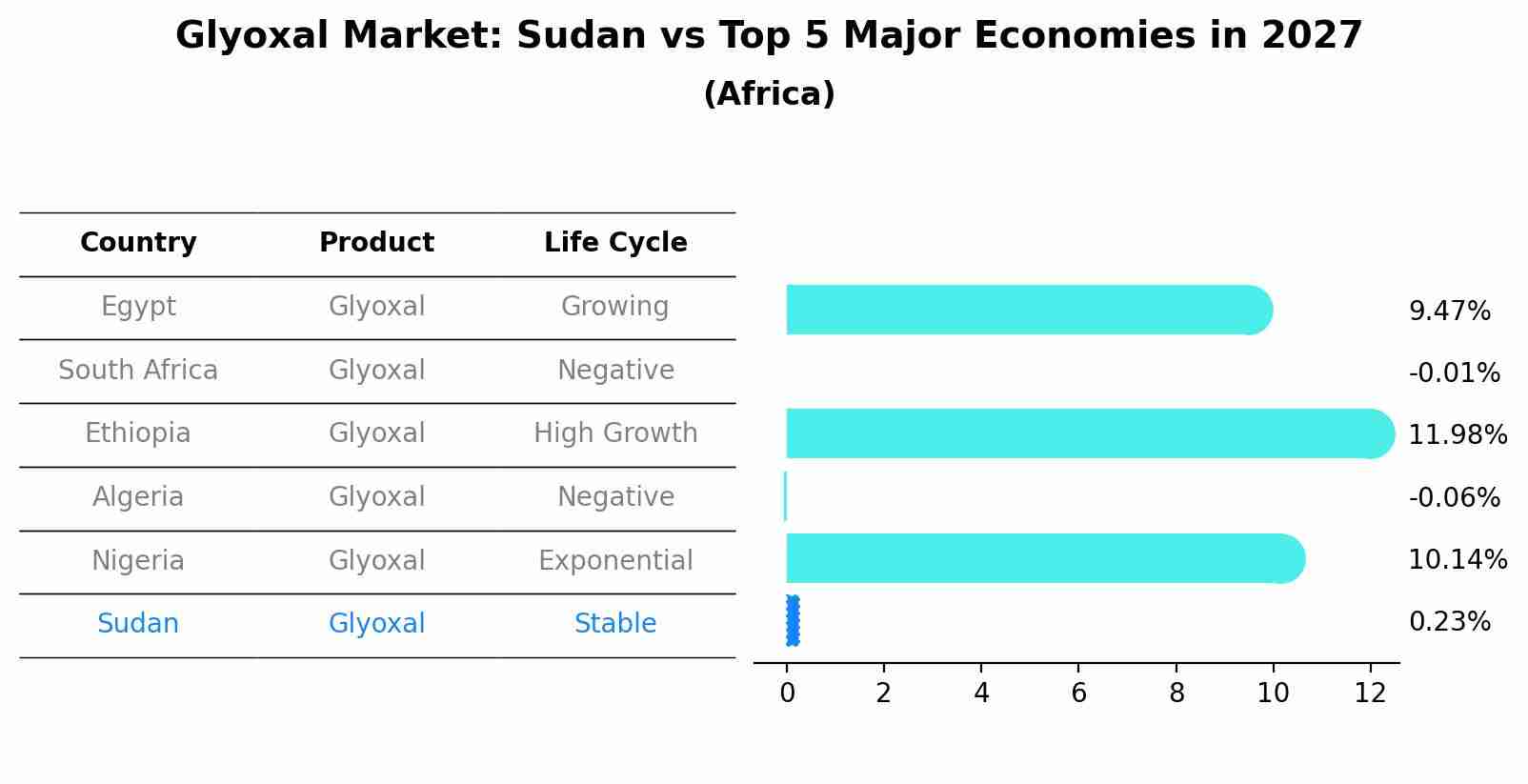 Glyoxal Market: Sudan vs Top 5 Major Economies in 2027 (Africa)