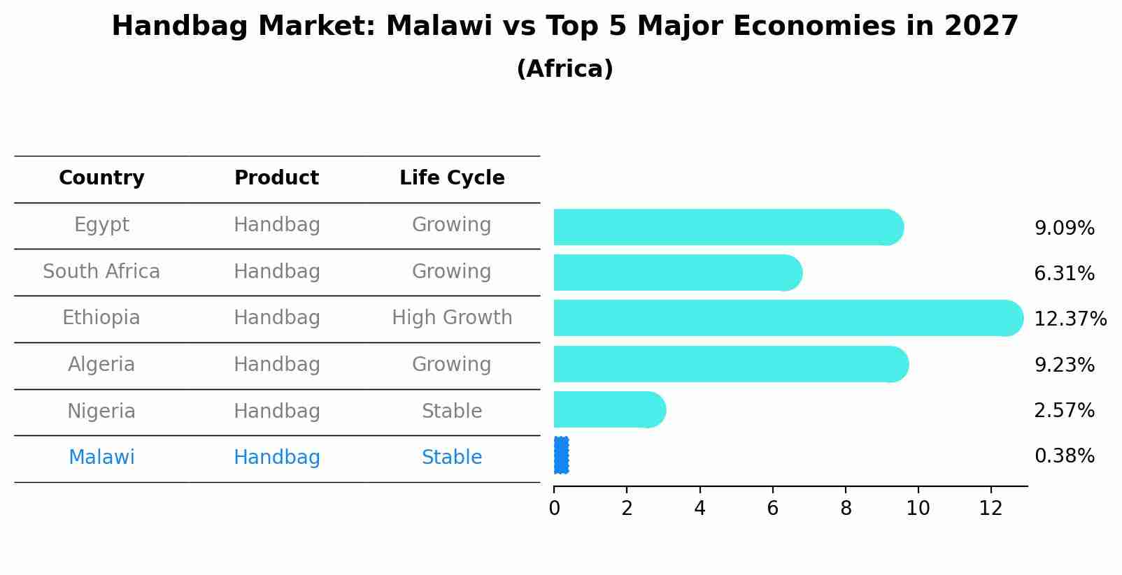 Handbag Market: Malawi vs Top 5 Major Economies in 2027 (Africa)