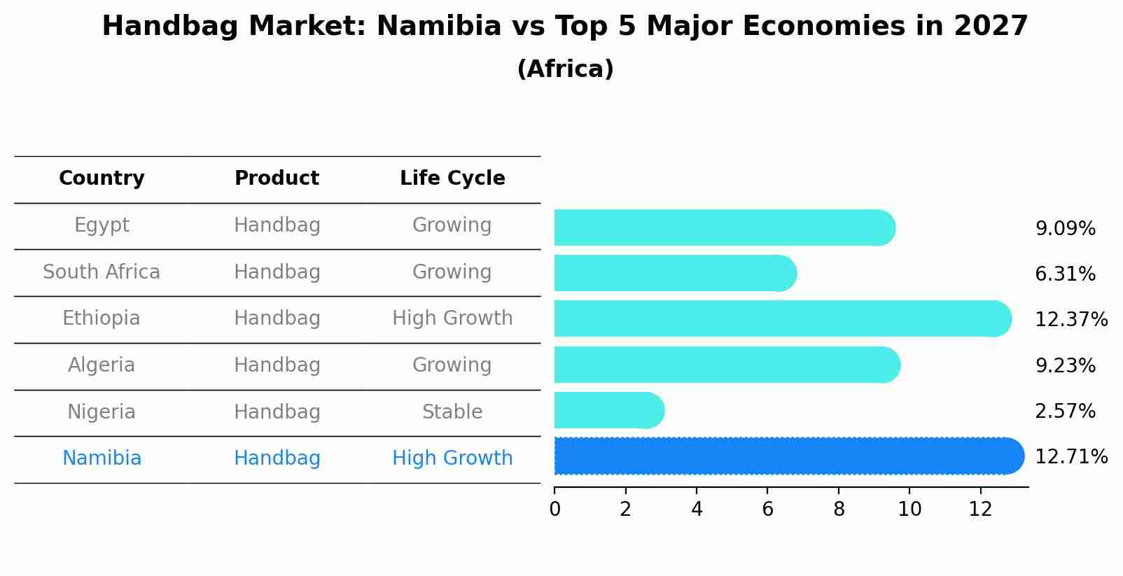 Handbag Market: Namibia vs Top 5 Major Economies in 2027 (Africa)
