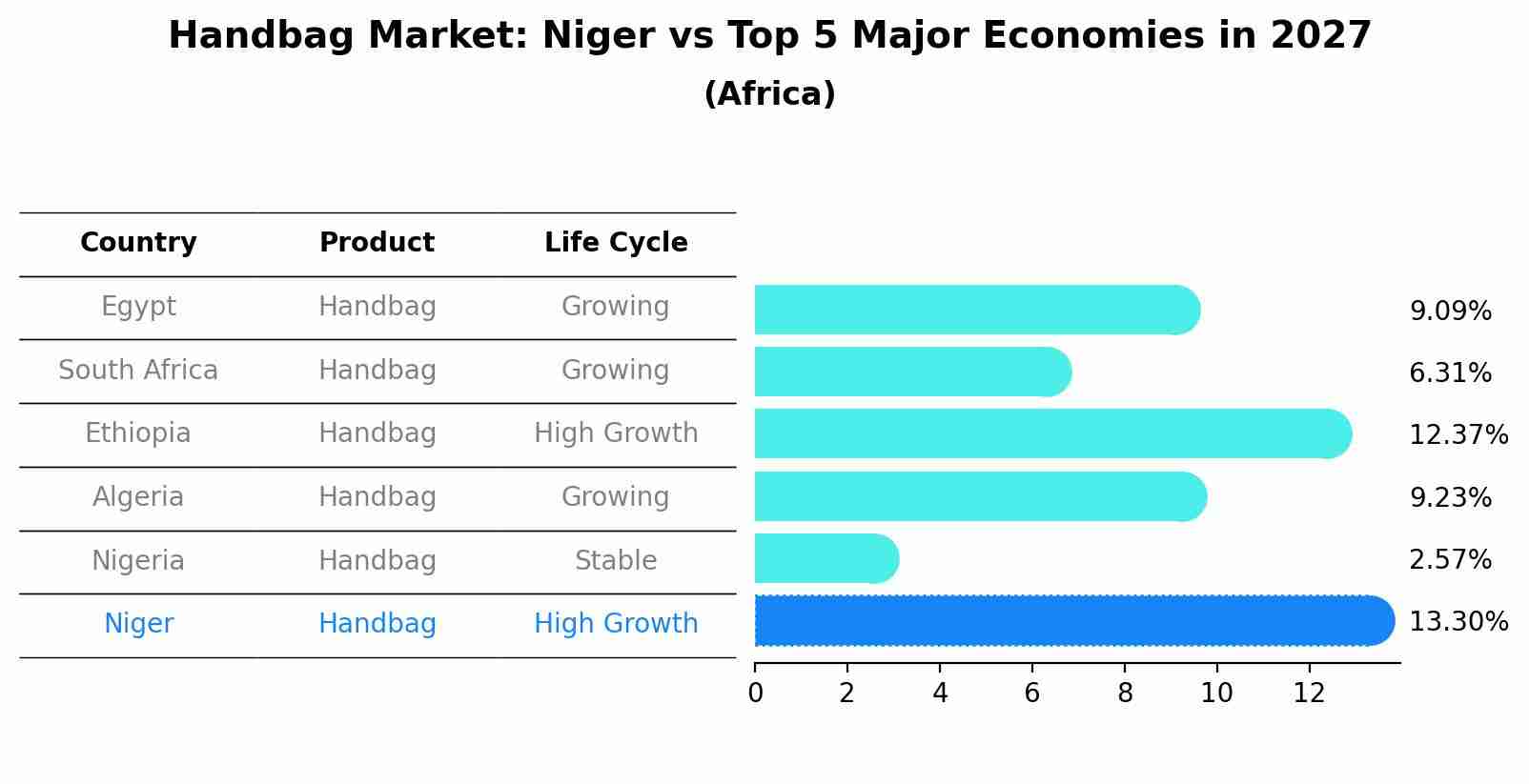 Handbag Market: Niger vs Top 5 Major Economies in 2027 (Africa)