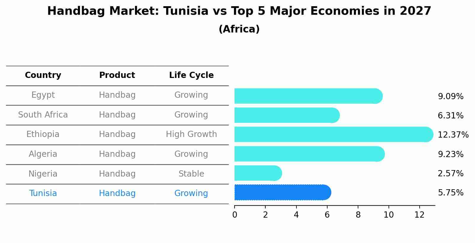 Handbag Market: Tunisia vs Top 5 Major Economies in 2027 (Africa)