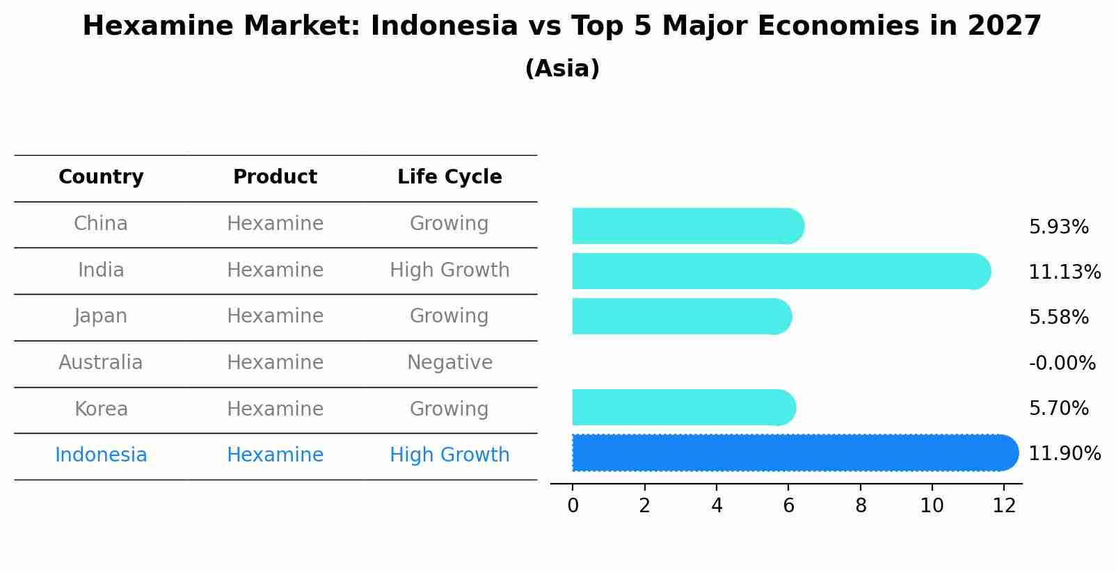 Hexamine Market: Indonesia vs Top 5 Major Economies in 2027 (Asia)