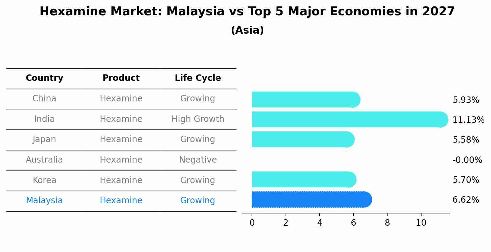 Hexamine Market: Malaysia vs Top 5 Major Economies in 2027 (Asia)