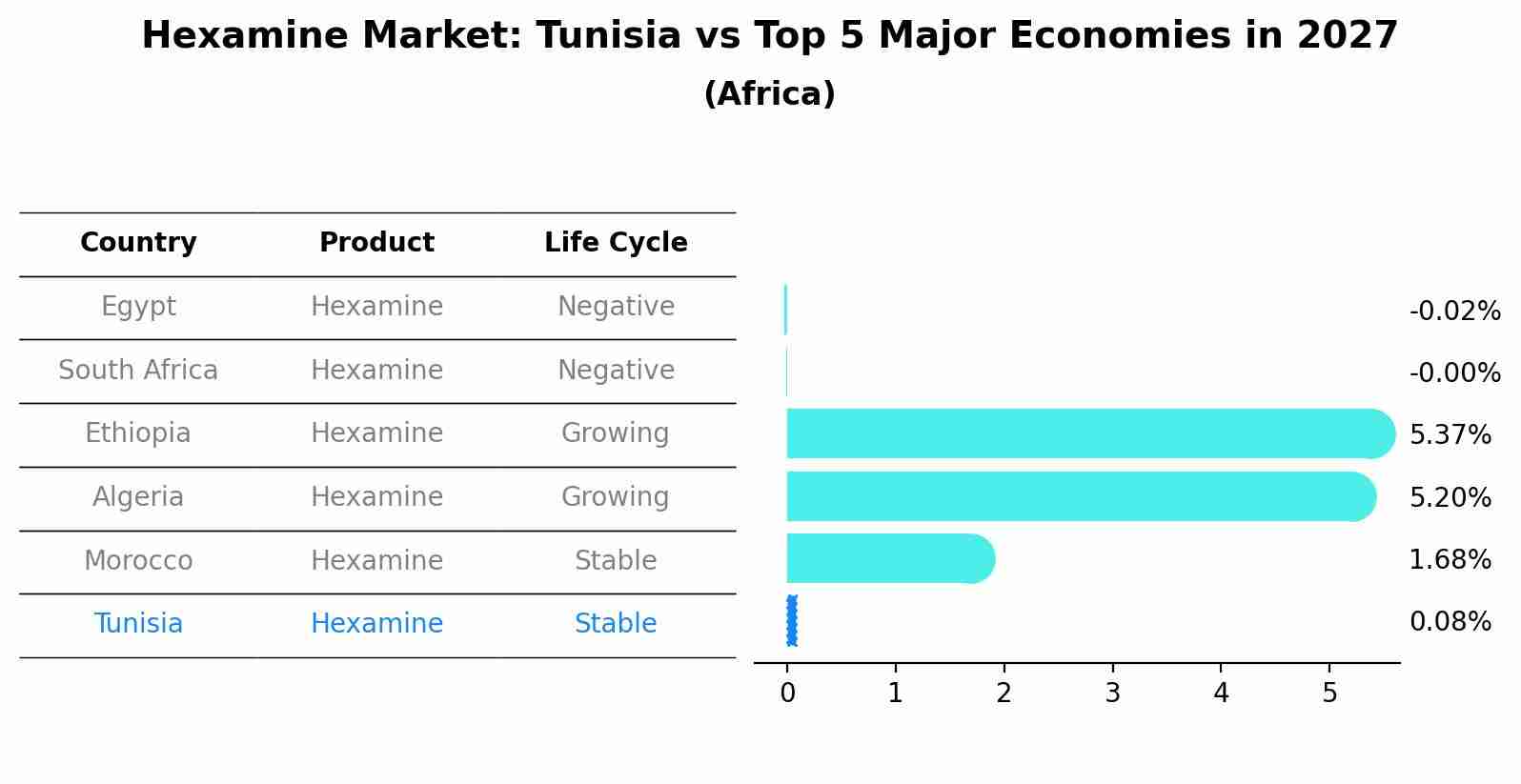 Hexamine Market: Tunisia vs Top 5 Major Economies in 2027 (Africa)