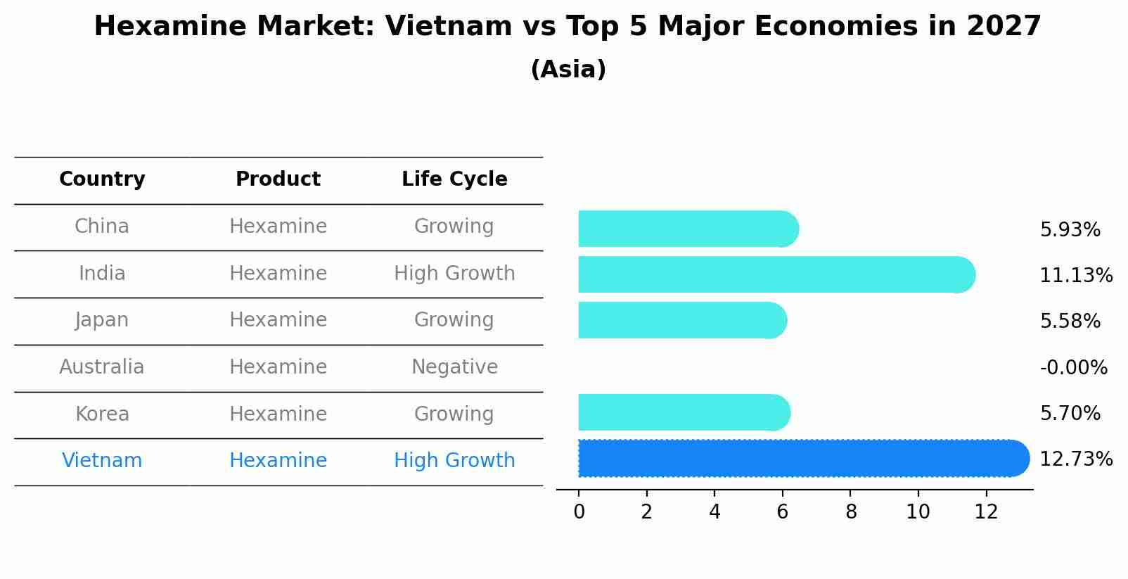Hexamine Market: Vietnam vs Top 5 Major Economies in 2027 (Asia)