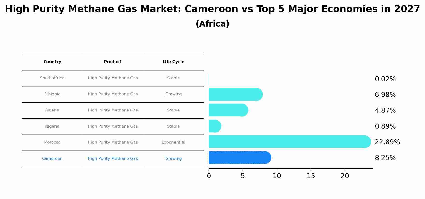 High Purity Methane Gas Market: Cameroon vs Top 5 Major Economies in 2027 (Africa)