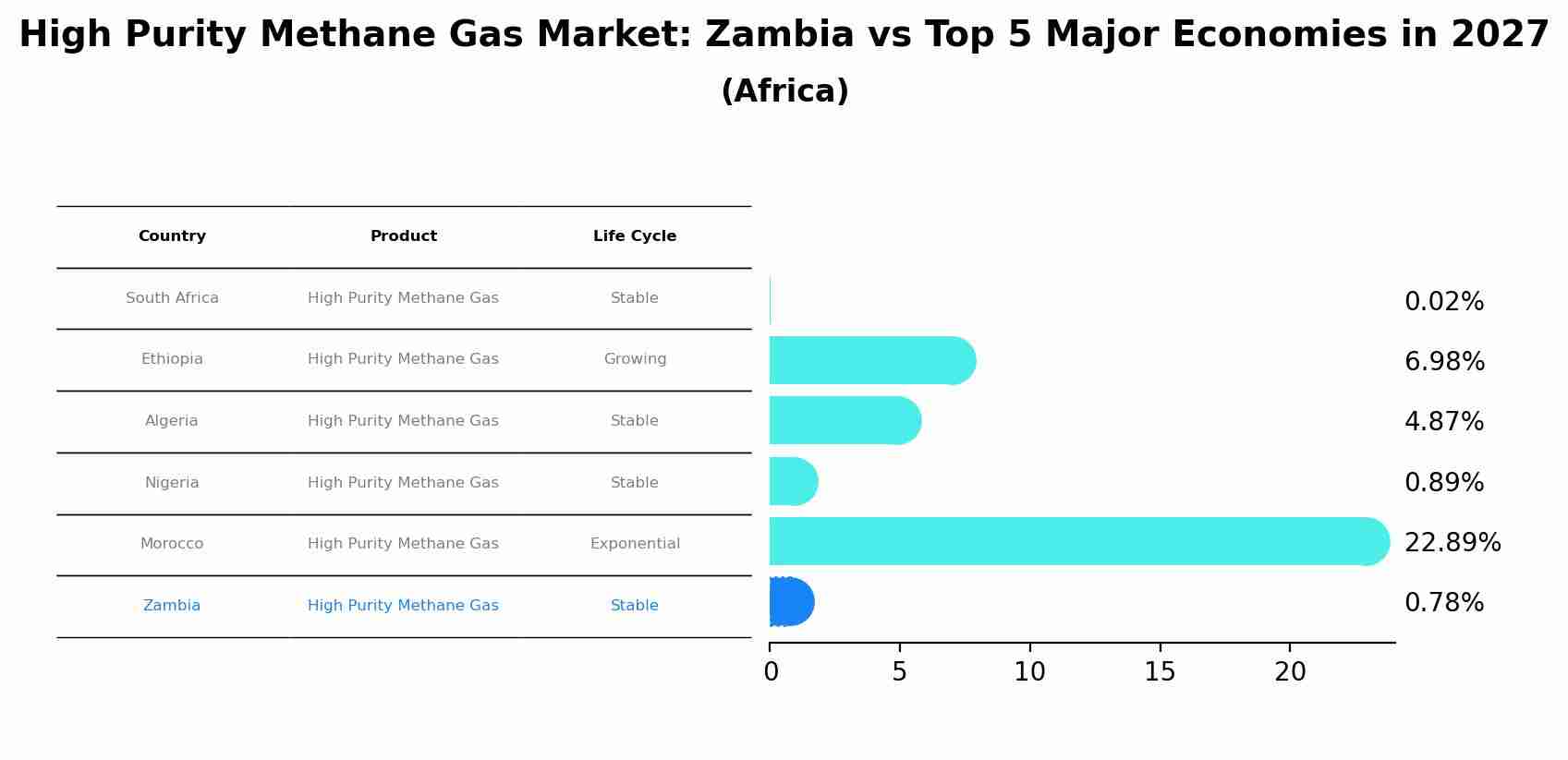 High Purity Methane Gas Market: Zambia vs Top 5 Major Economies in 2027 (Africa)
