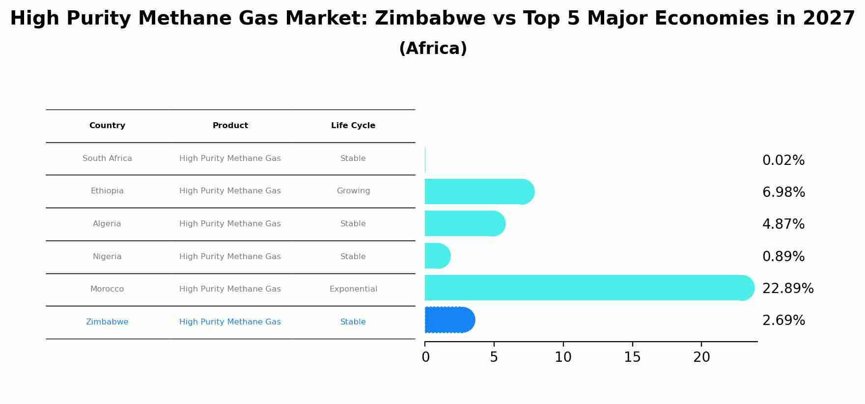 High Purity Methane Gas Market: Zimbabwe vs Top 5 Major Economies in 2027 (Africa)