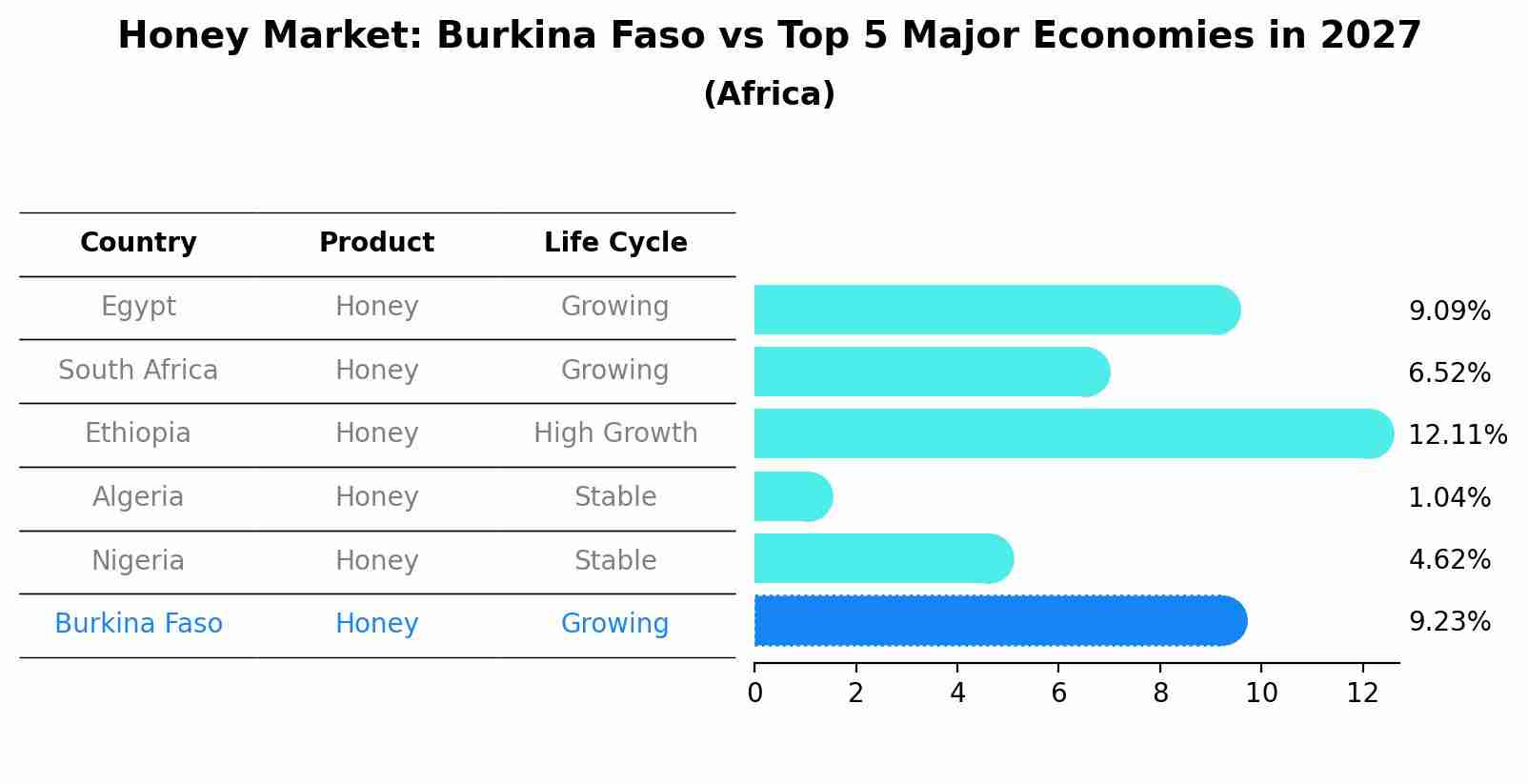 Honey Market: Burkina Faso vs Top 5 Major Economies in 2027 (Africa)