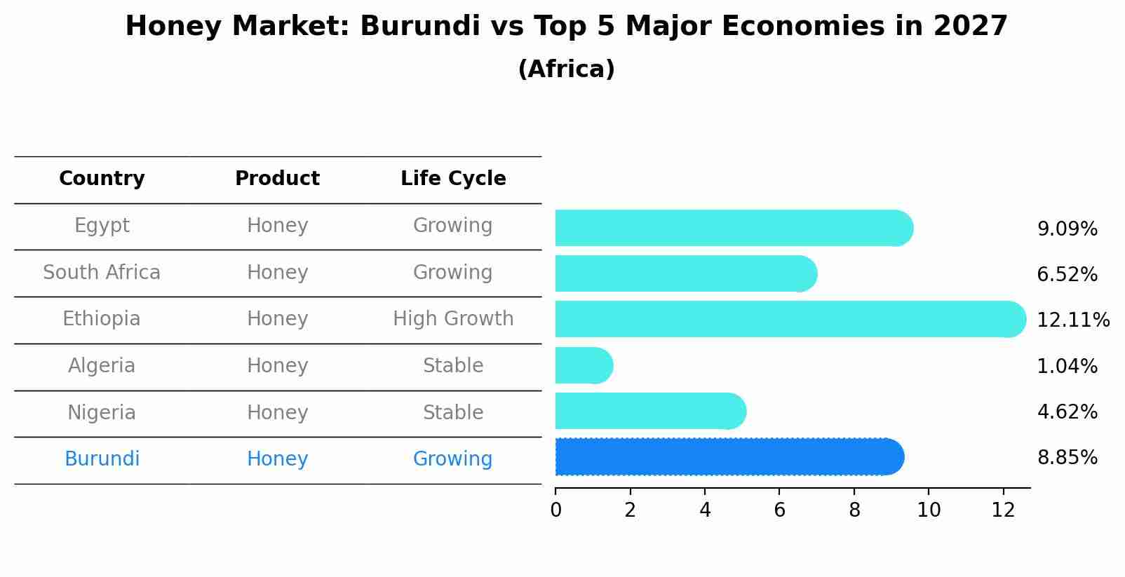 Honey Market: Burundi vs Top 5 Major Economies in 2027 (Africa)