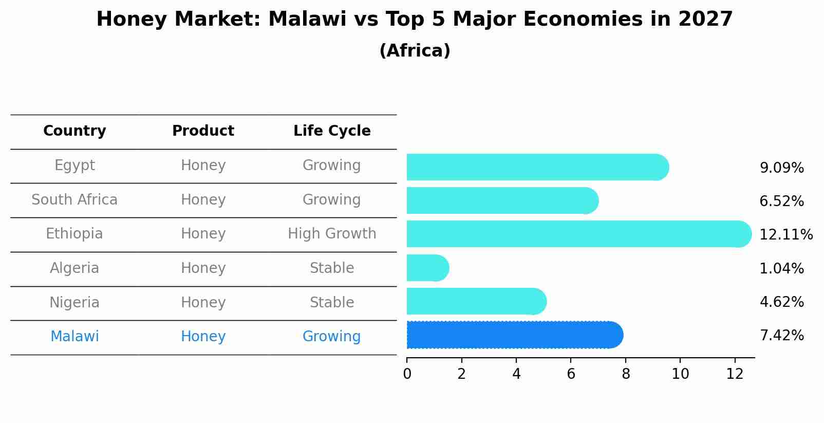 Honey Market: Malawi vs Top 5 Major Economies in 2027 (Africa)