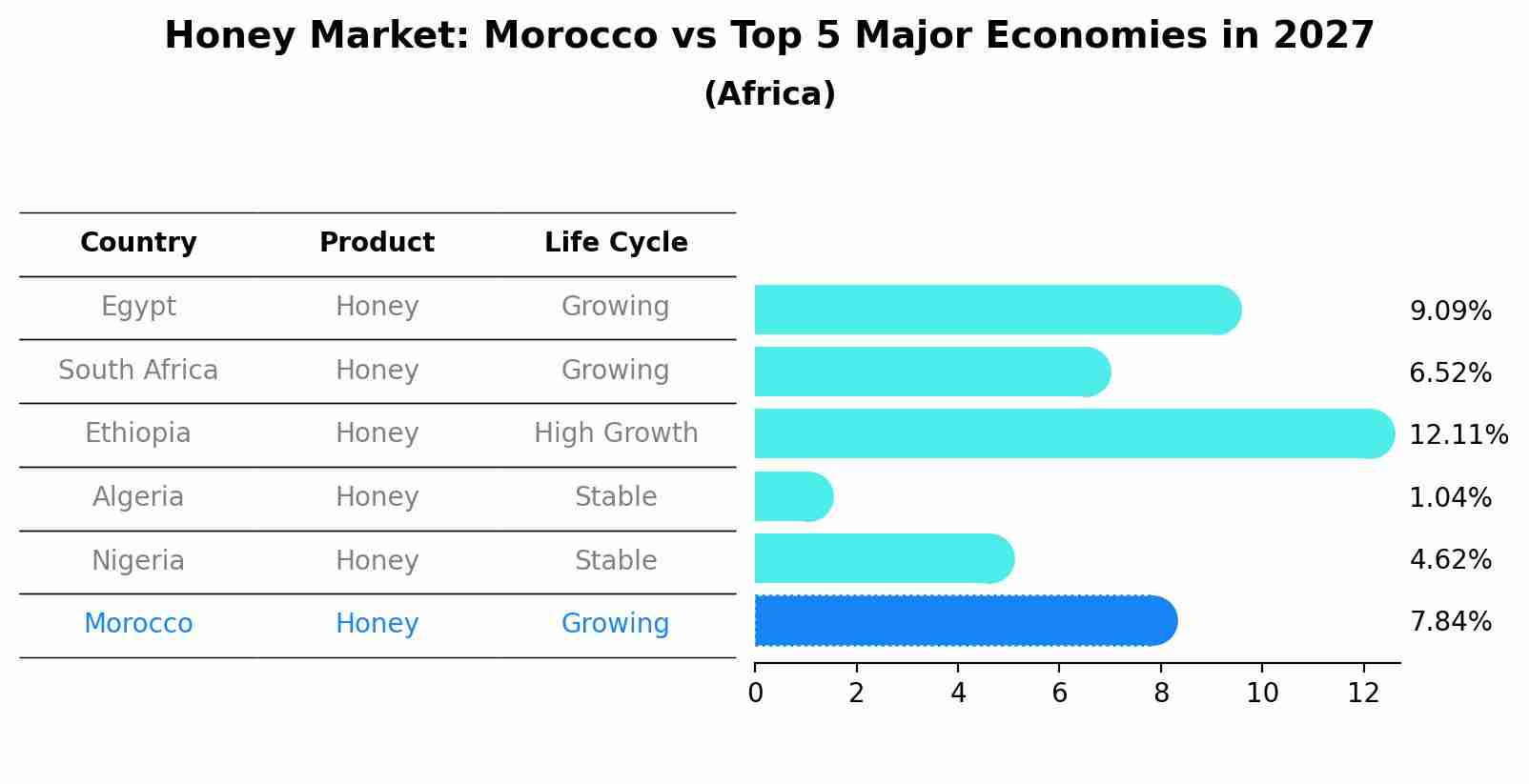 Honey Market: Morocco vs Top 5 Major Economies in 2027 (Africa)
