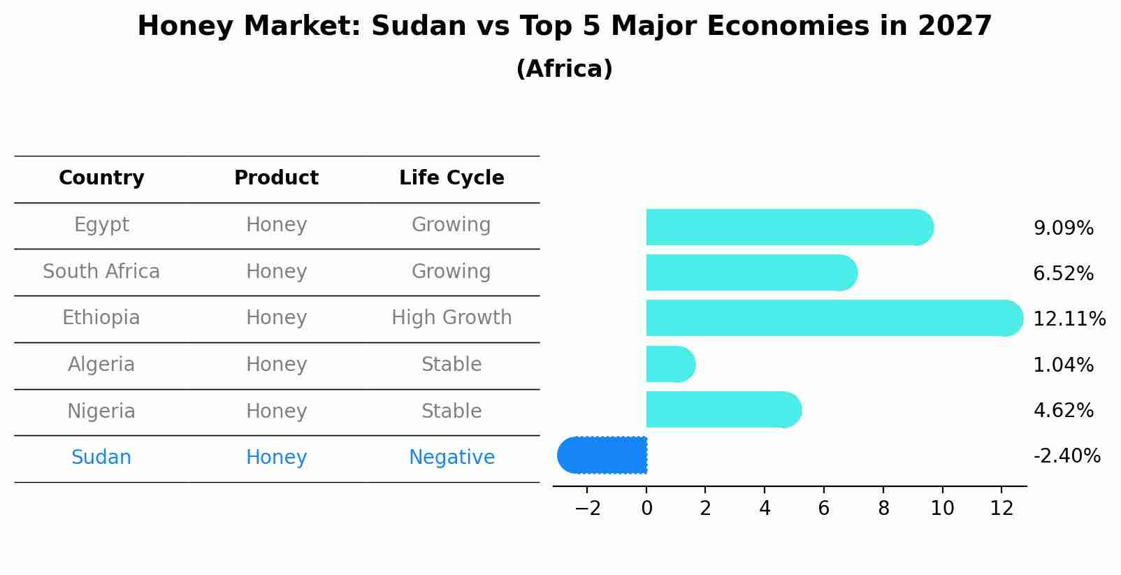 Honey Market: Sudan vs Top 5 Major Economies in 2027 (Africa)