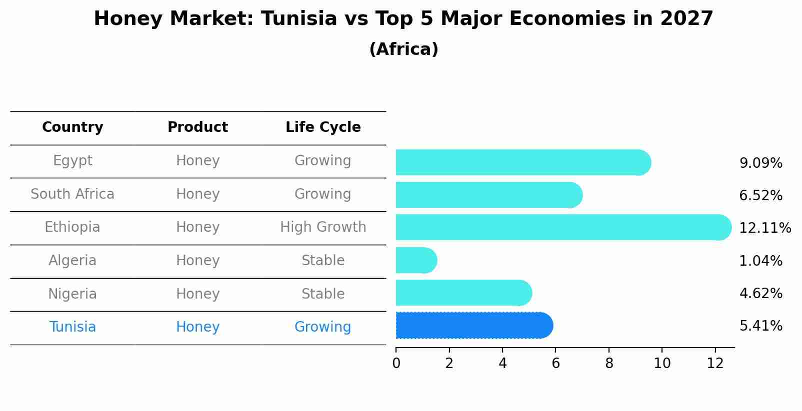Honey Market: Tunisia vs Top 5 Major Economies in 2027 (Africa)