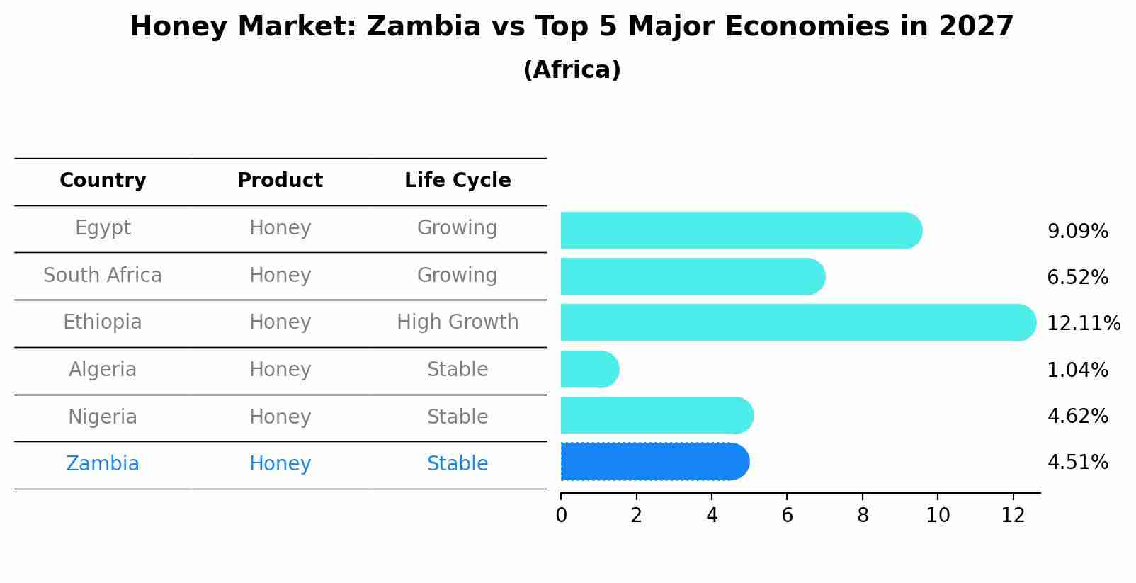 Honey Market: Zambia vs Top 5 Major Economies in 2027 (Africa)