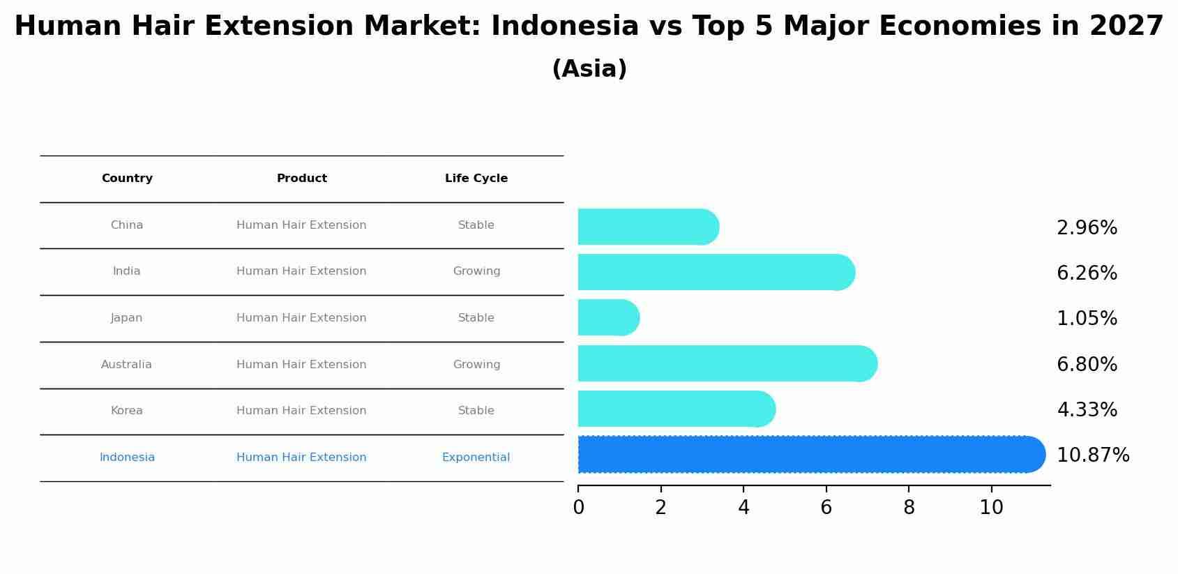 Human Hair Extension Market: Indonesia vs Top 5 Major Economies in 2027 (Asia)