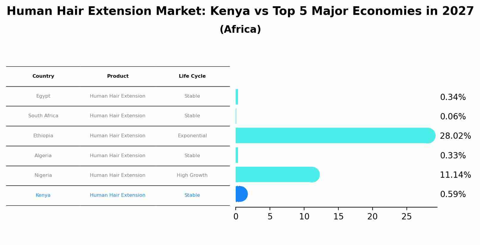Human Hair Extension Market: Kenya vs Top 5 Major Economies in 2027 (Africa)