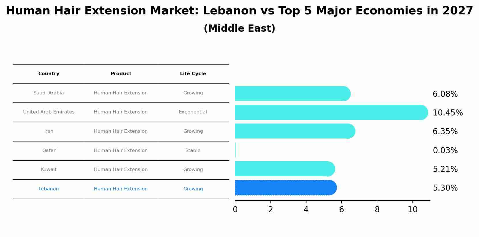 Human Hair Extension Market: Lebanon vs Top 5 Major Economies in 2027 (Middle East)
