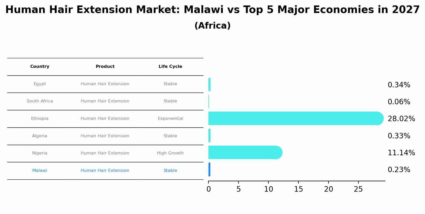 Human Hair Extension Market: Malawi vs Top 5 Major Economies in 2027 (Africa)