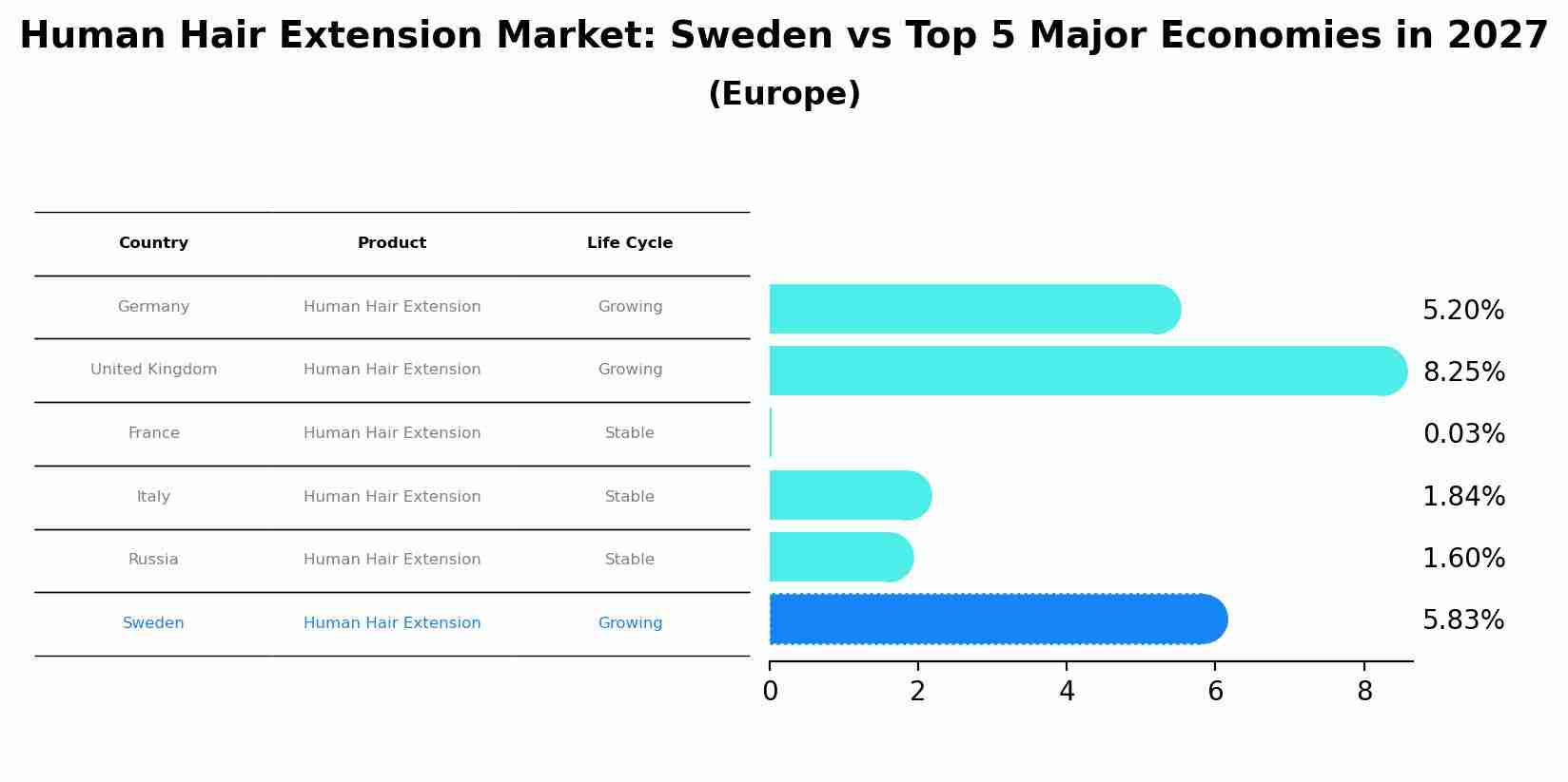 Human Hair Extension Market: Sweden vs Top 5 Major Economies in 2027 (Europe)