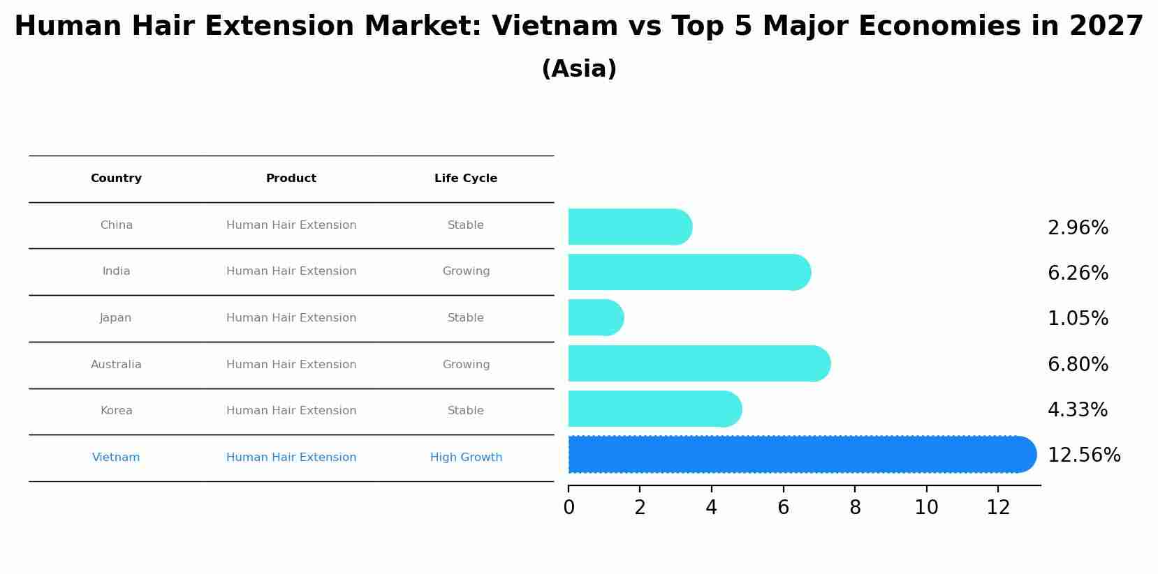 Human Hair Extension Market: Vietnam vs Top 5 Major Economies in 2027 (Asia)