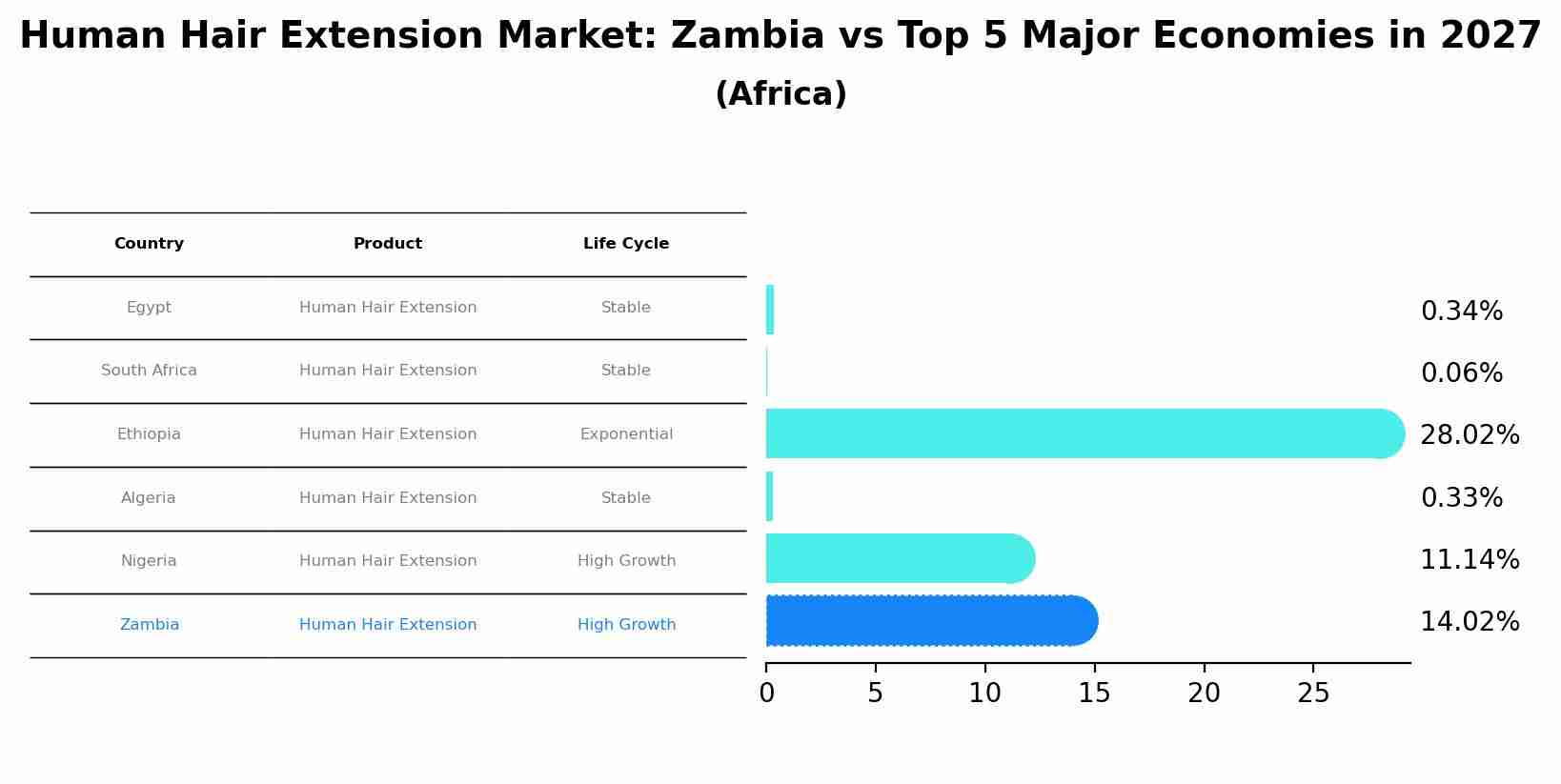 Human Hair Extension Market: Zambia vs Top 5 Major Economies in 2027 (Africa)