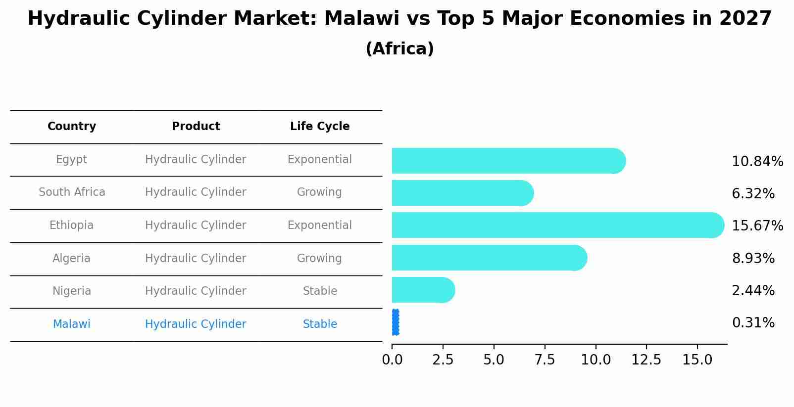 Hydraulic Cylinder Market: Malawi vs Top 5 Major Economies in 2027 (Africa)