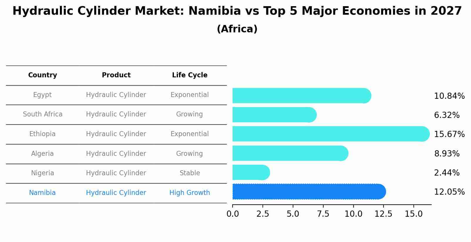 Hydraulic Cylinder Market: Namibia vs Top 5 Major Economies in 2027 (Africa)
