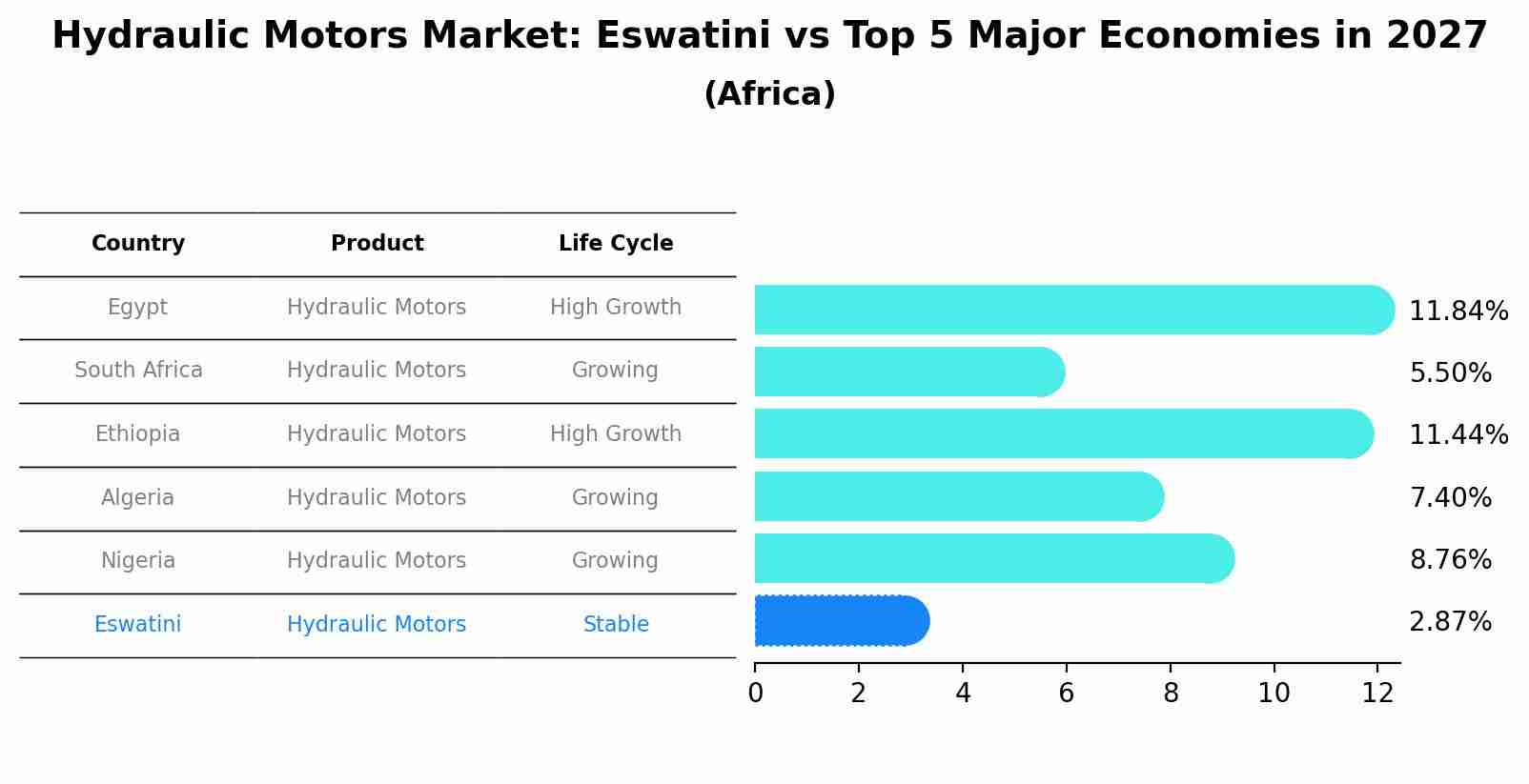 Hydraulic Motors Market: Eswatini vs Top 5 Major Economies in 2027 (Africa)