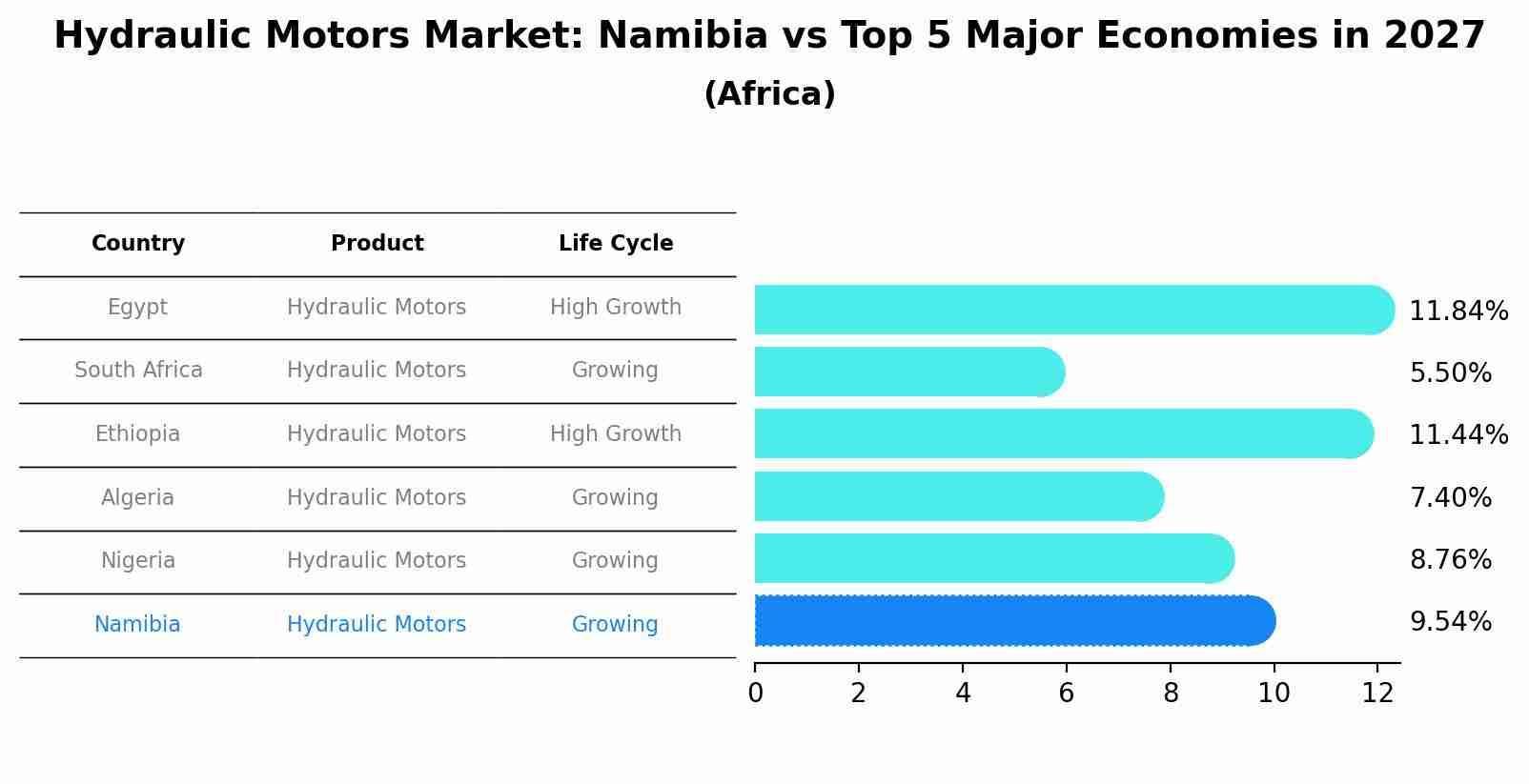 Hydraulic Motors Market: Namibia vs Top 5 Major Economies in 2027 (Africa)