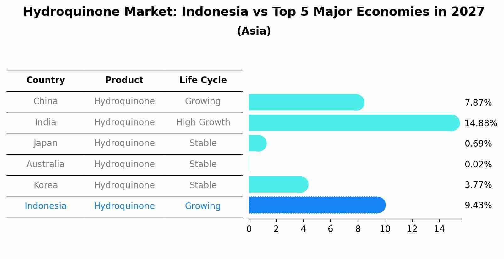 Hydroquinone Market: Indonesia vs Top 5 Major Economies in 2027 (Asia)
