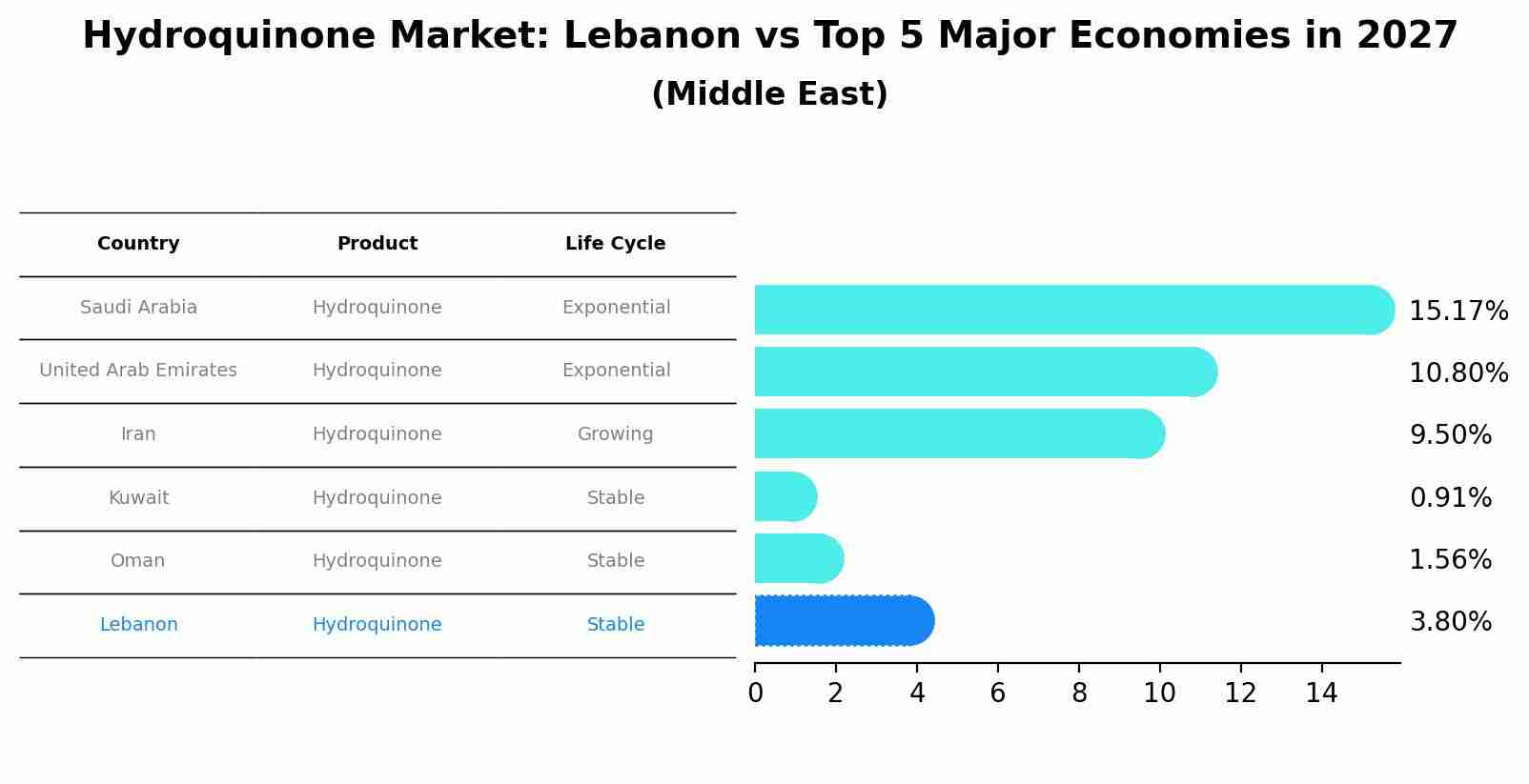 Hydroquinone Market: Lebanon vs Top 5 Major Economies in 2027 (Middle East)