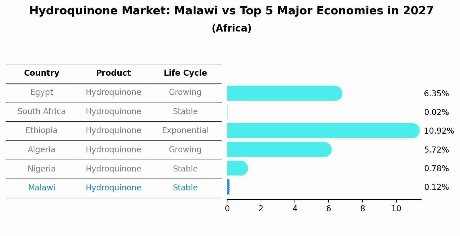 Hydroquinone Market: Malawi vs Top 5 Major Economies in 2027 (Africa)
