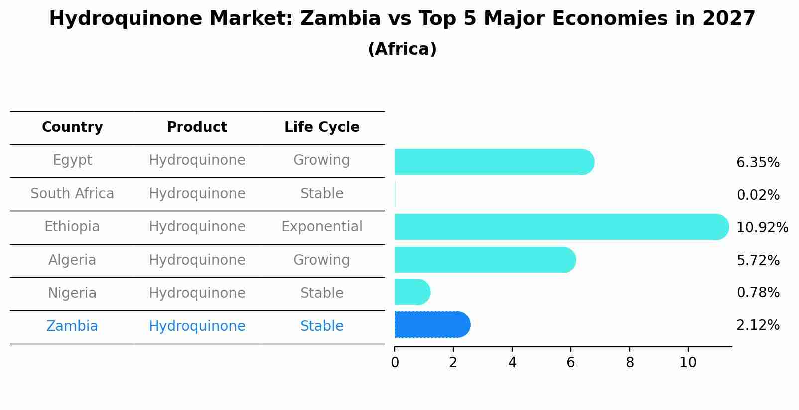 Hydroquinone Market: Zambia vs Top 5 Major Economies in 2027 (Africa)