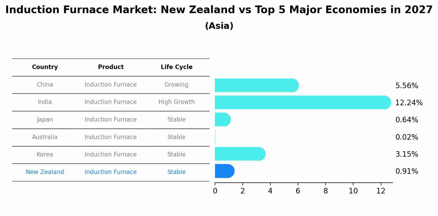 Induction Furnace Market: New Zealand vs Top 5 Major Economies in 2027 (Asia)
