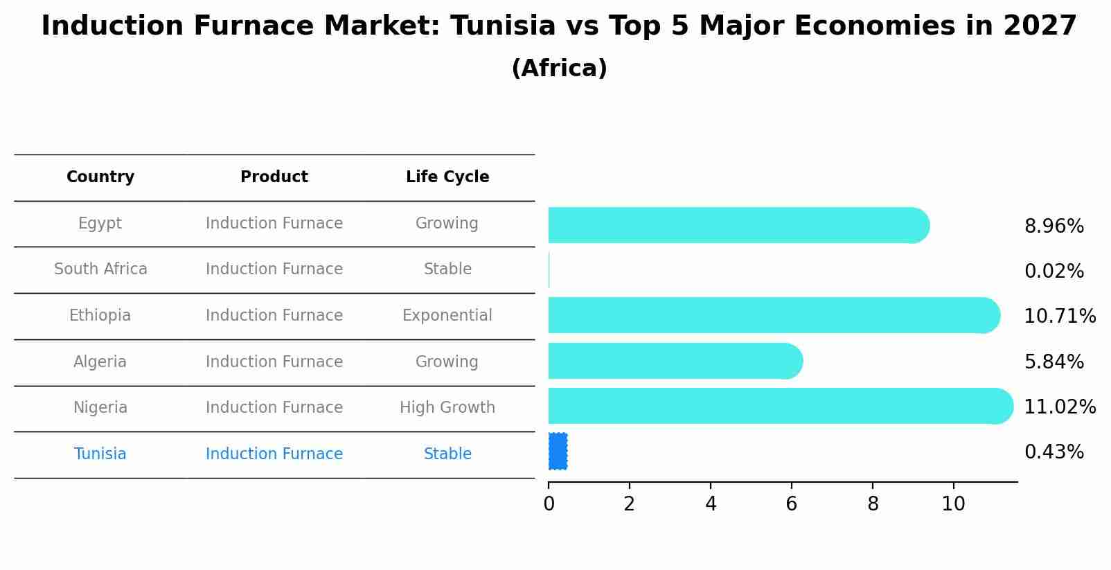 Induction Furnace Market: Tunisia vs Top 5 Major Economies in 2027 (Africa)