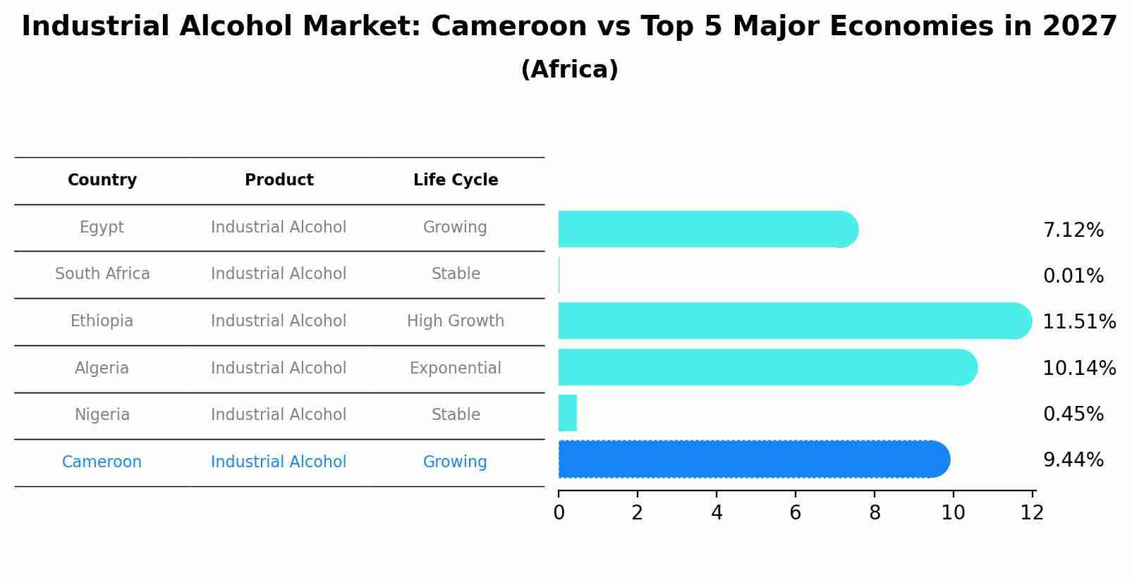 Industrial Alcohol Market: Cameroon vs Top 5 Major Economies in 2027 (Africa)
