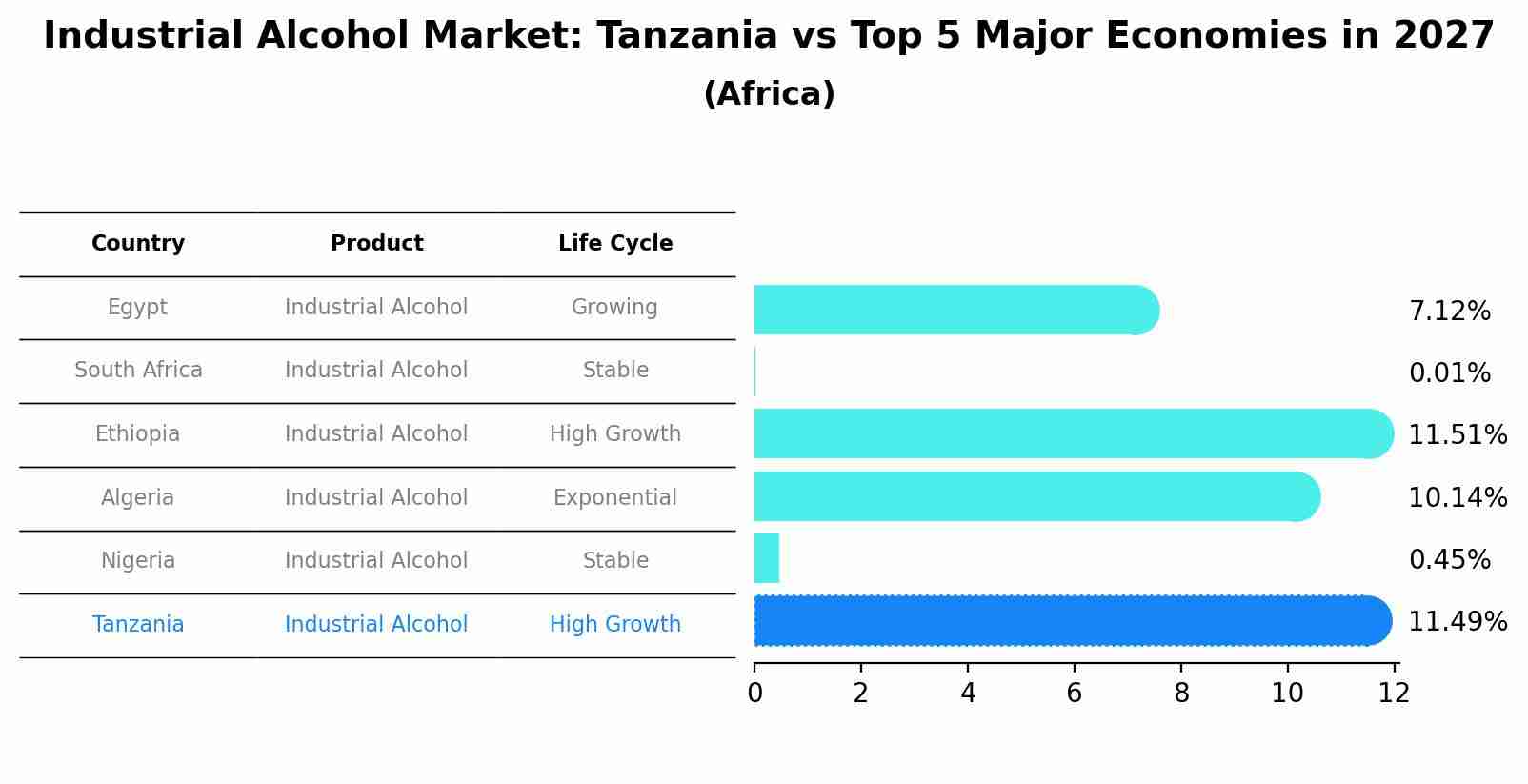 Industrial Alcohol Market: Tanzania vs Top 5 Major Economies in 2027 (Africa)