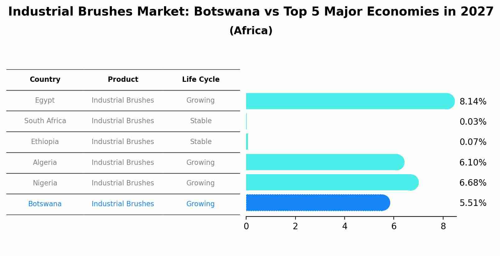 Industrial Brushes Market: Botswana vs Top 5 Major Economies in 2027 (Africa)