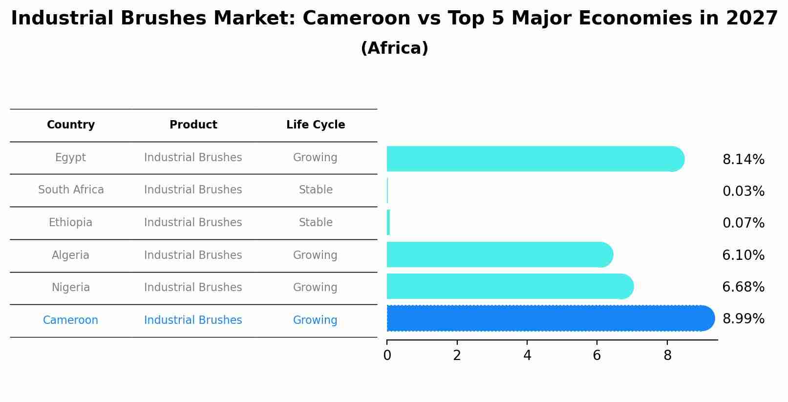 Industrial Brushes Market: Cameroon vs Top 5 Major Economies in 2027 (Africa)