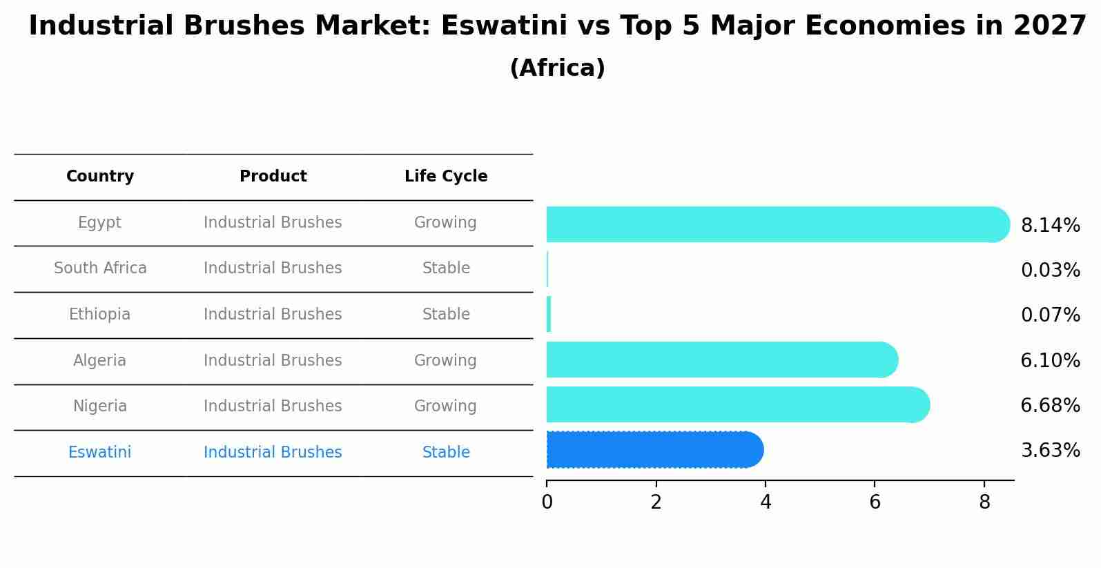 Industrial Brushes Market: Eswatini vs Top 5 Major Economies in 2027 (Africa)