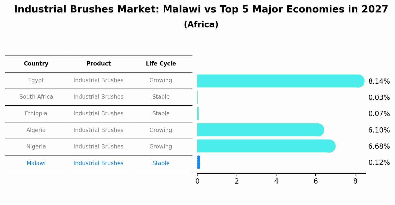 Industrial Brushes Market: Malawi vs Top 5 Major Economies in 2027 (Africa)