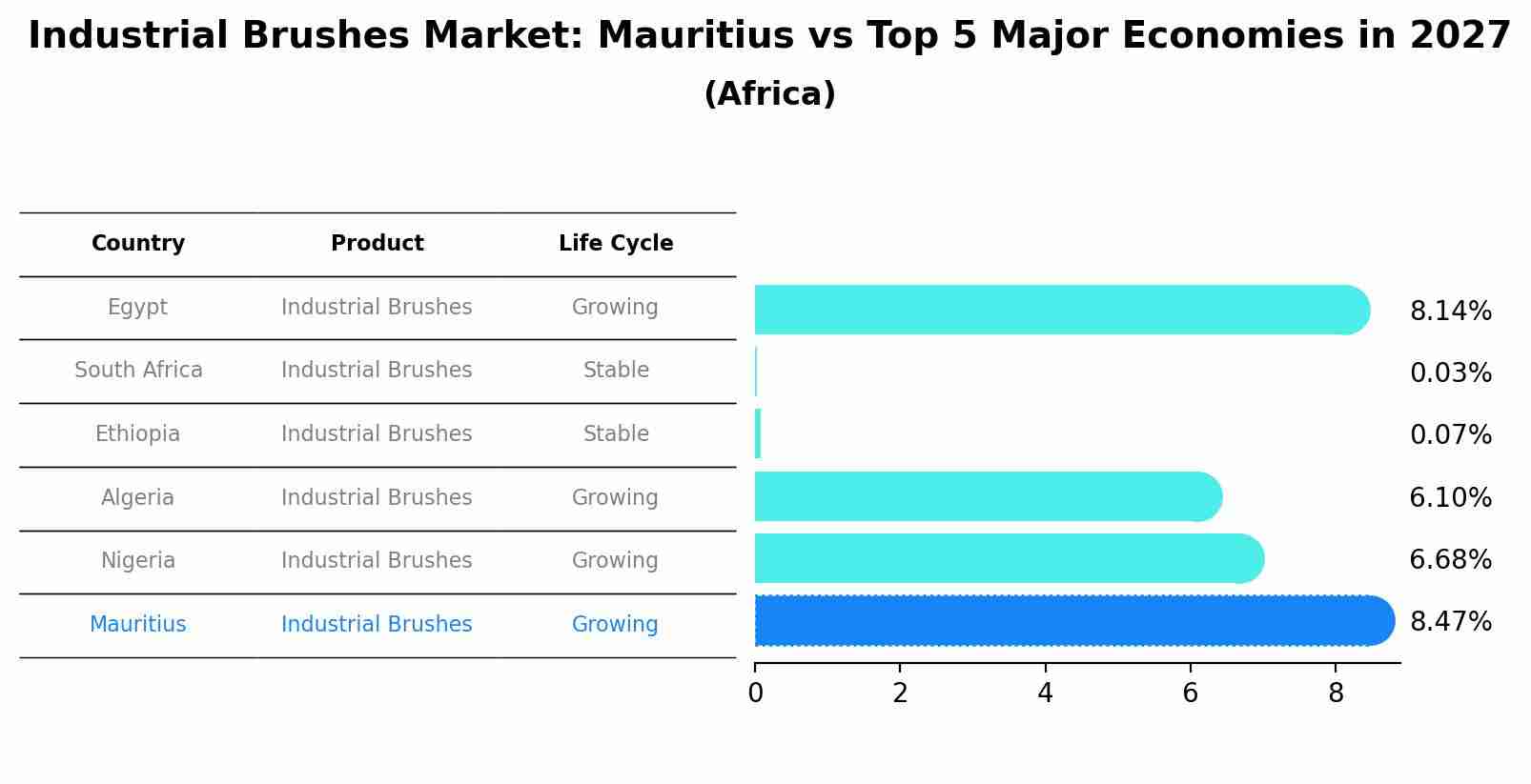 Industrial Brushes Market: Mauritius vs Top 5 Major Economies in 2027 (Africa)