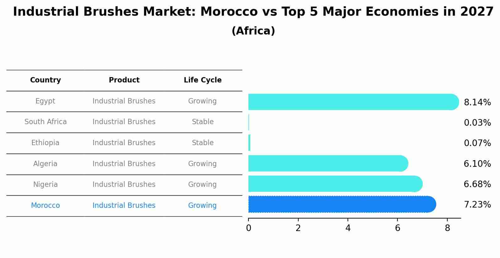 Industrial Brushes Market: Morocco vs Top 5 Major Economies in 2027 (Africa)