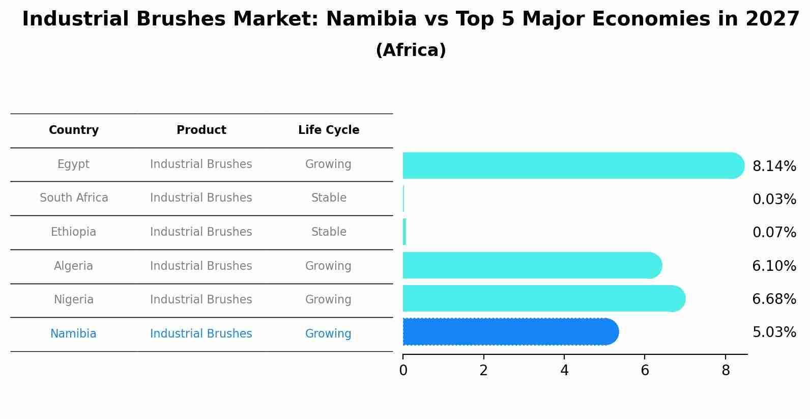 Industrial Brushes Market: Namibia vs Top 5 Major Economies in 2027 (Africa)