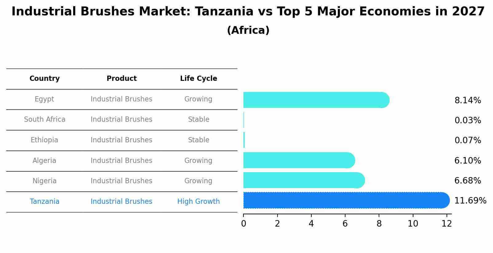 Industrial Brushes Market: Tanzania vs Top 5 Major Economies in 2027 (Africa)
