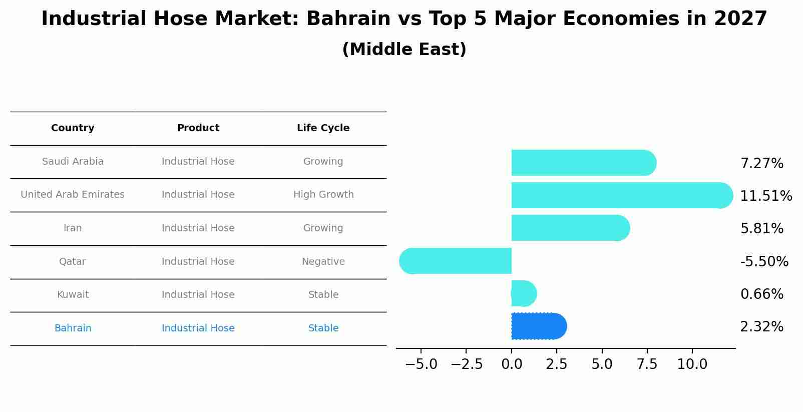 Industrial Hose Market: Bahrain vs Top 5 Major Economies in 2027 (Middle East)