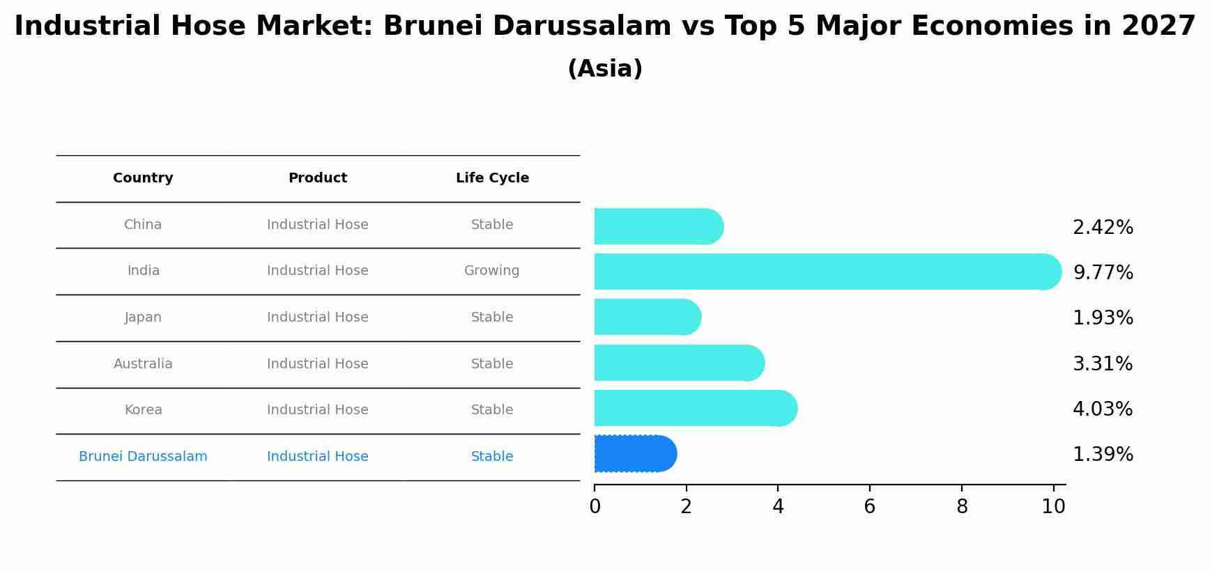 Industrial Hose Market: Brunei Darussalam vs Top 5 Major Economies in 2027 (Asia)