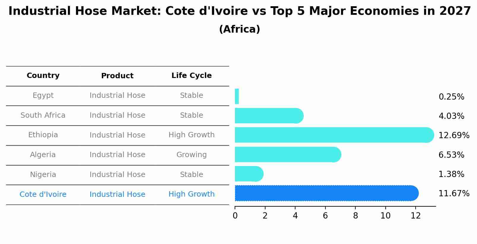 Industrial Hose Market: Cote d'Ivoire vs Top 5 Major Economies in 2027 (Africa)