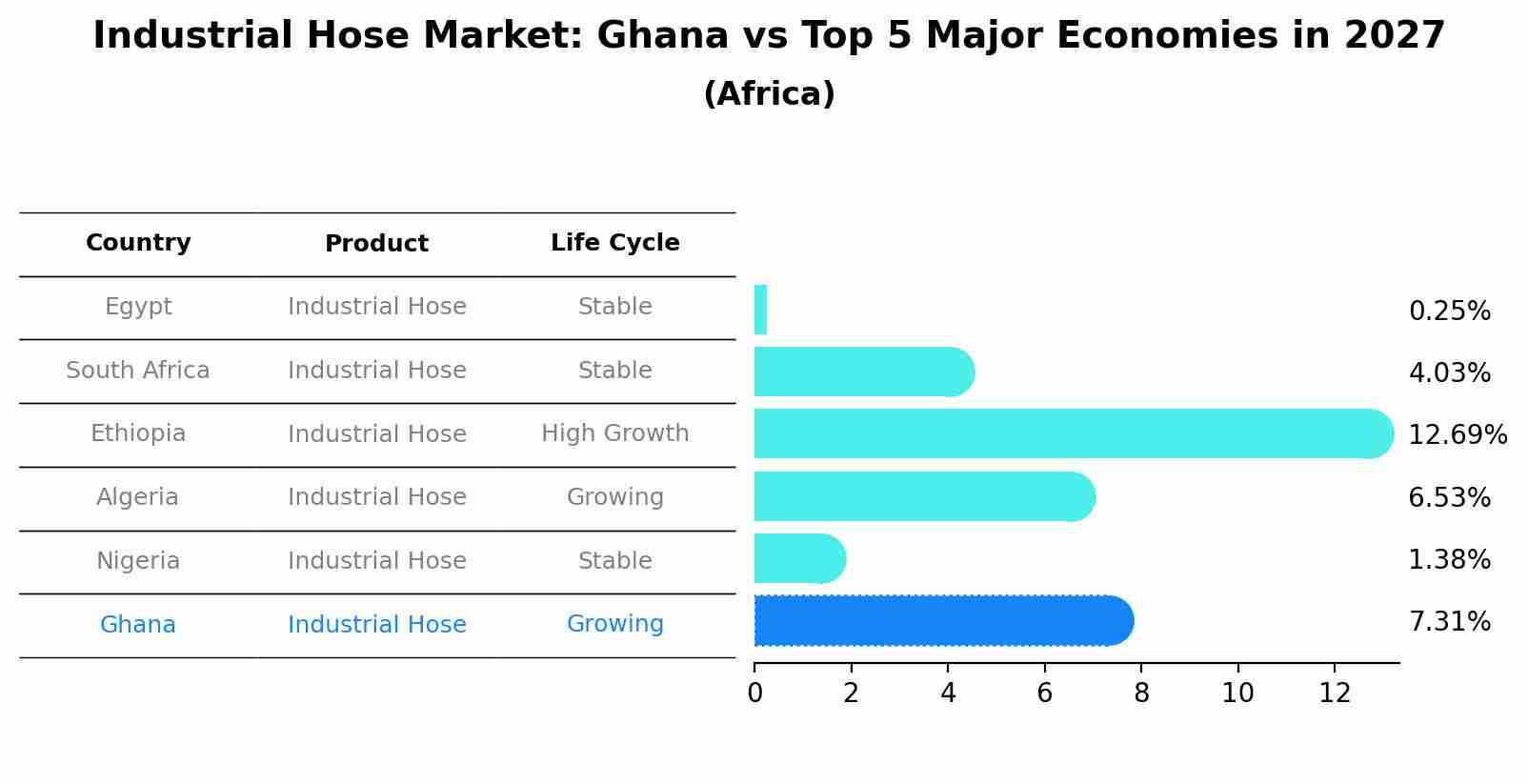Industrial Hose Market: Ghana vs Top 5 Major Economies in 2027 (Africa)